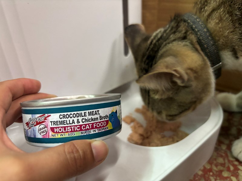 女人知己試用大隊,口碑行銷,部落客行銷,PURRFACT 波菲特貓用主食罐,主食罐,PURRFACT波菲特,貓主食罐,貓罐,PURRFACT波菲特貓用主食罐,魚肉蔓越莓主食罐,鮮嫩雞主食罐,鹿肉雞肉主食罐,牛肉鵪鶉貓主食罐,干貝蠶蛹配方,鱷魚肉白木耳配方,雞肉魚肉配方,安心鶉配方,評價,體驗,適口性佳,心得,成貓適用,高齡貓適用,質地是慕絲狀